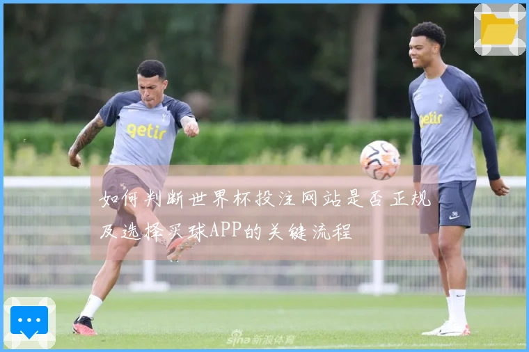 如何判断世界杯投注网站是否正规及选择买球APP的关键流程